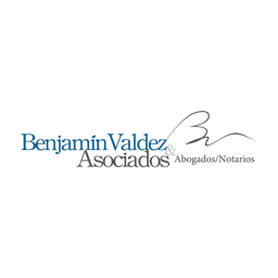 Benjamín Valdez & Asociados Abogados/Notarios logo