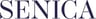 Law Firm Senica & Partners, Ltd logo